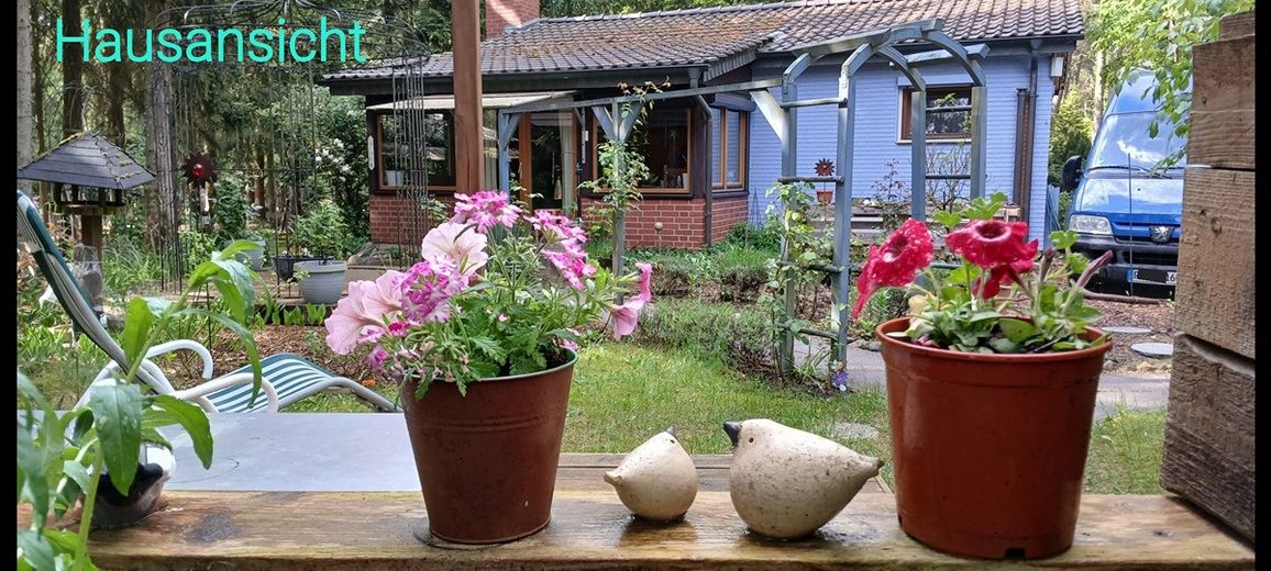 Casa nel bosco vicino a Bienenbüttel su terreno di proprietà – Photo 1