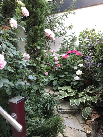 Ein-/Zweifamilien Stadthaus am Weinberg kernsaniert, vielseitig nutzbar, freistehend – Garten