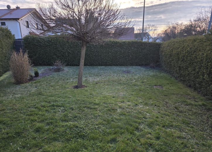 direkter Zugang Garten