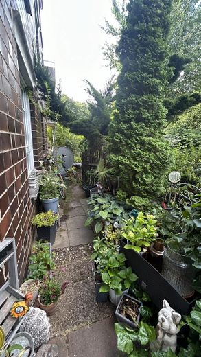 Impression Garten