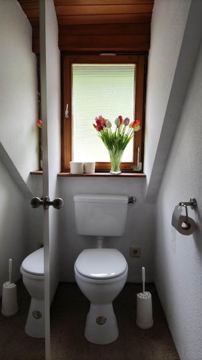 WC DG
