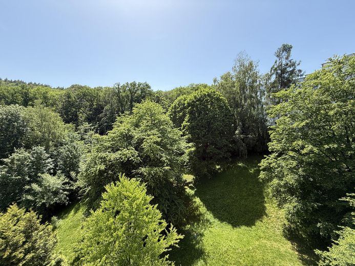 ***Direkt vom Eigentümer*** Großzügige Wohnung mit 2 Balkonen und Weitblick am Waldrand – Blick vom Balkon (nach Westen)