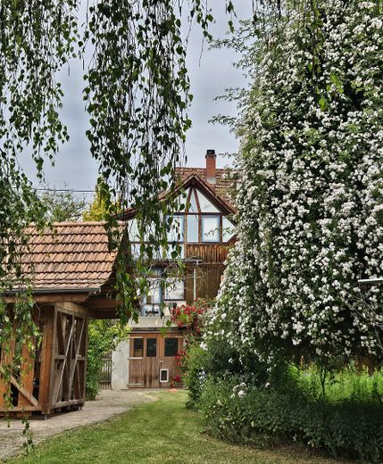 Bezienswaardig huis met groot perceel in Niedermohr (regio KL, HOM, PS, KUS) – Foto 28