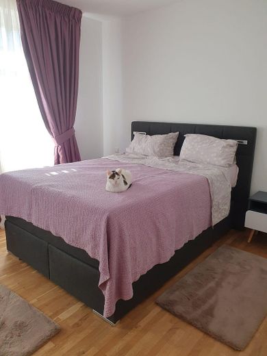 ruhige, helle 2-Raum Wohnung mit Parkettboden + Balkon + Küche – Schlafzimmer
