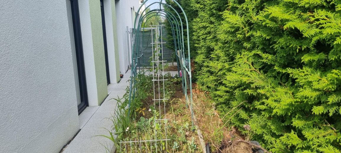 Mieten neuwertiges Haus in Nürtingen ab Dezember-26 oder Januar-27 – Gemüsebeet