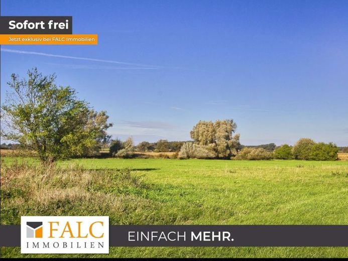 +++Großzügiger Landsitz nahe Ostsee mit 33.000 m² Gesamtfläche – Ideal für Pferdehaltung+++ – Foto 1