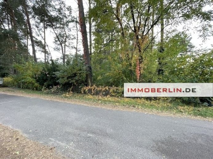 IMMOBERLIN.DE - Bebaubares Waldgrundstück in sehr naturverbundener Lage – Foto 1