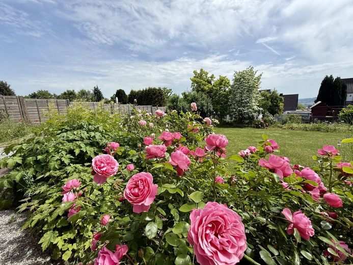 Fröndenberg: Freistehendes Wohnhaus in Top-Lage - Exklusives Familienparadies in ruhiger Sackgasse! – Gartenimpressionen