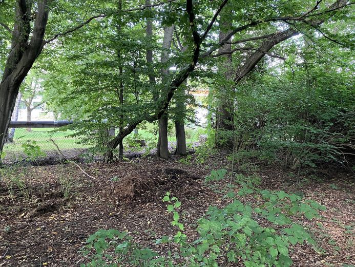 terreno non edificato a Freiberg - senza commissioni – Nordgrenze - Richtung NordOst