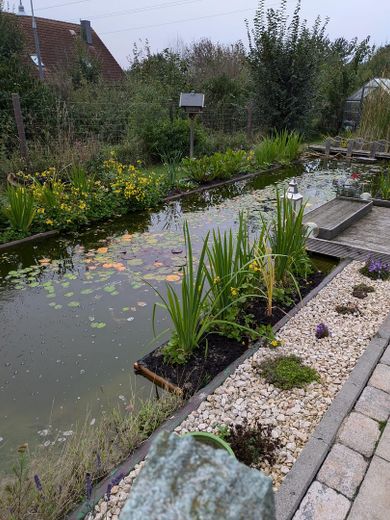 Bungalow come nuovo a Scharbeutz, frazione di Gleschendorf, in posizione immersa nella natura – Gartenteich