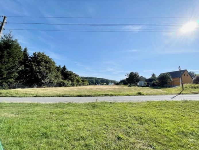 Herrliche Baufläche für 3 EFH in 01920 Steina – Foto 1