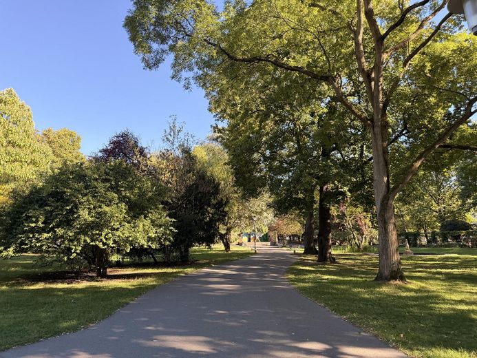 Einmalige Chance: Wohnen zwischen Burg und Stadtpark im Einfamilienhaus mit fünf Zimmern und Garten – Stadtpark · Allee · Umgebung