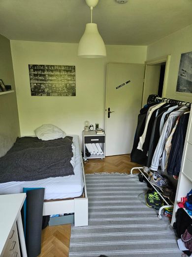 Zimmer1