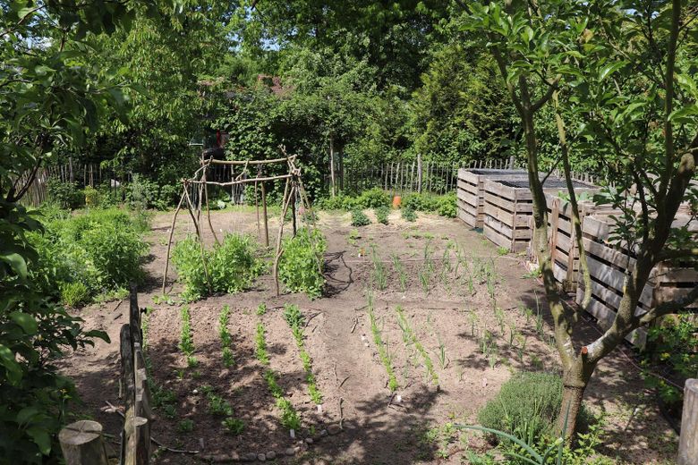 Charming country house with living basement, large garden, workshop, two verandas, hobby stable – Gemüsegarten