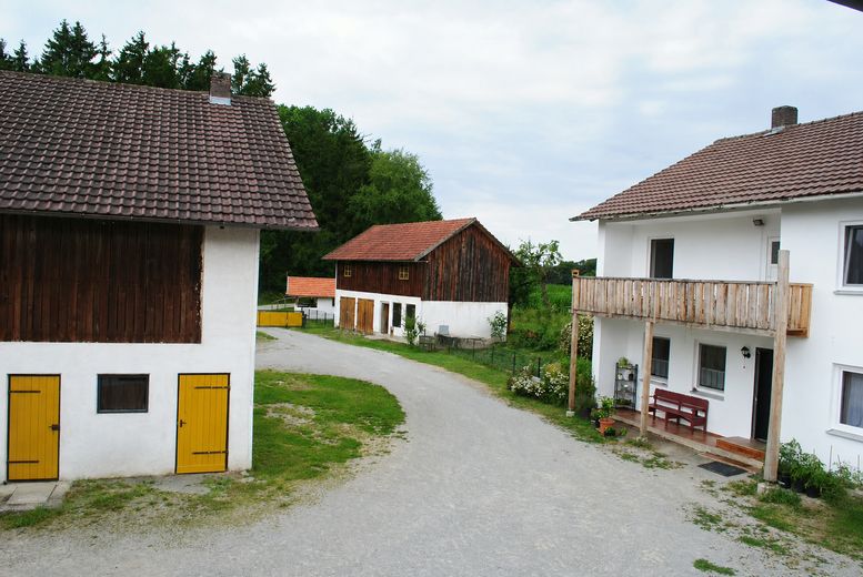 Pequeña finca/granja en ubicación absolutamente aislada al borde del bosque – Foto 7