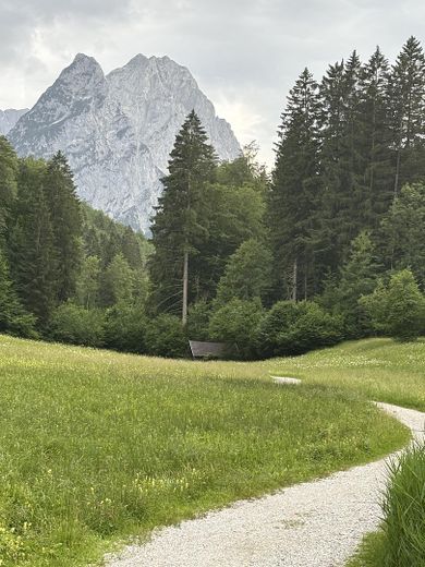 Neue Wege gehen!