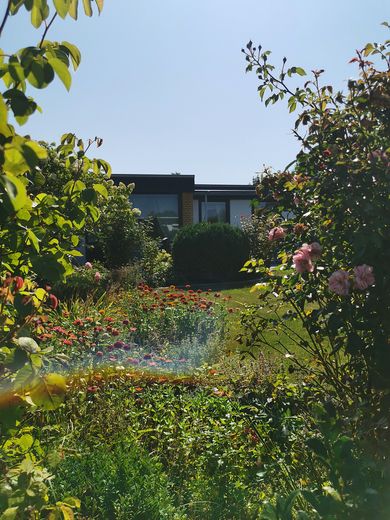 Gepflegter Bungalow mit parkähnlichem Garten – Garten