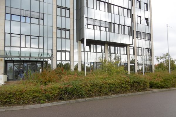 Top-Büro im Sachsen Park;  Mieten (subventioniert) für unter 6€/m²kalt