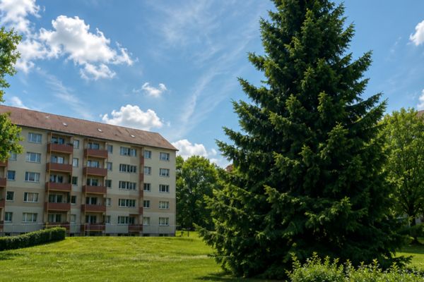 *Prima occupazione* luminoso appartamento di 3 locali per sentirsi a proprio agio