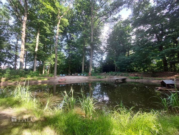 Modernisiertes 2-Zimmer-Appartement - Kapitalanlage oder Eigennutzung – Teich mit Sandstrand