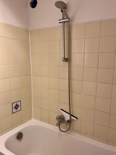2-Zimmer-Dachgeschosswohnung mit Garten im Gallusviertel – Bad