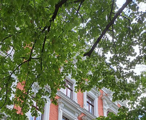 Stylowe 3-pokojowe mieszkanie w zabytkowej kamienicy – po remoncie!