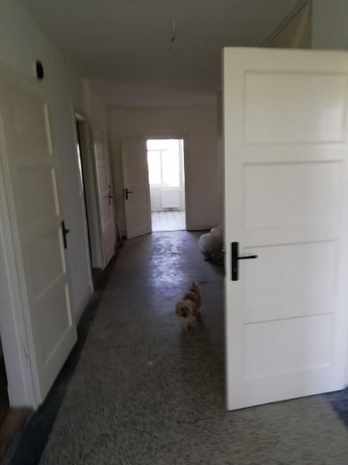 EG Wohnung in ruhigem Zweifamilienhaus sucht Hobbygärtner – Foto 6