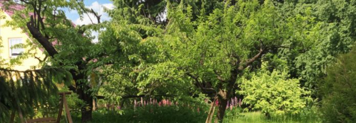 Terreno edificabile con ottimi collegamenti a Biesdorf-Süd