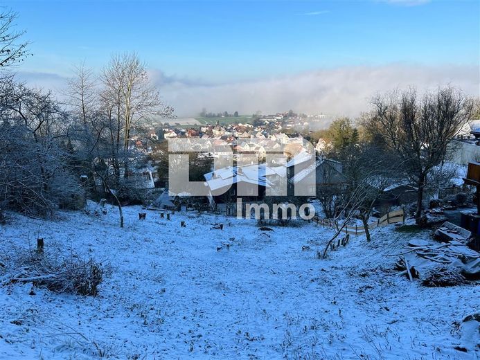 Winteraufnahme