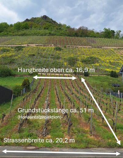 933 m² Baugrundstück - Südlage in 53474 Heppingen – Grundstück mit Vermessungen