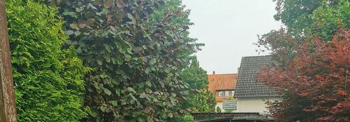 Aktuelle Gartennutzung