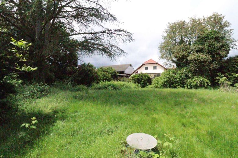 WRS Immobilien - Langenselbold - ruhige + grüne Innenstadtlage - Abrissgrundstück für MFH + DHH  + RH – Garten