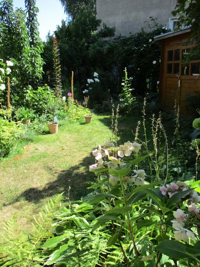 Charmante Altbauwohnung mit Garten im Herzen der Stadt – Garten