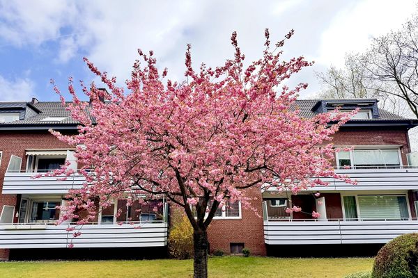 Familienfreundliche 4-Zimmer-Wohnung mit Balkon in ruhigem Hummelsbüttel – saniert & bezugsfertig