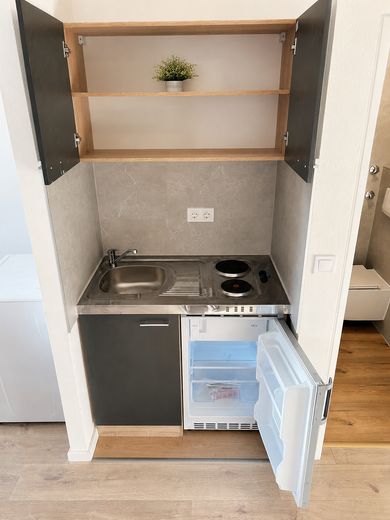 6,3 % Rendite! Kernsanierte Eigentumswohnung mit Stellplatz in Markranstädt – Kühlschrank, Herd und Spüle.