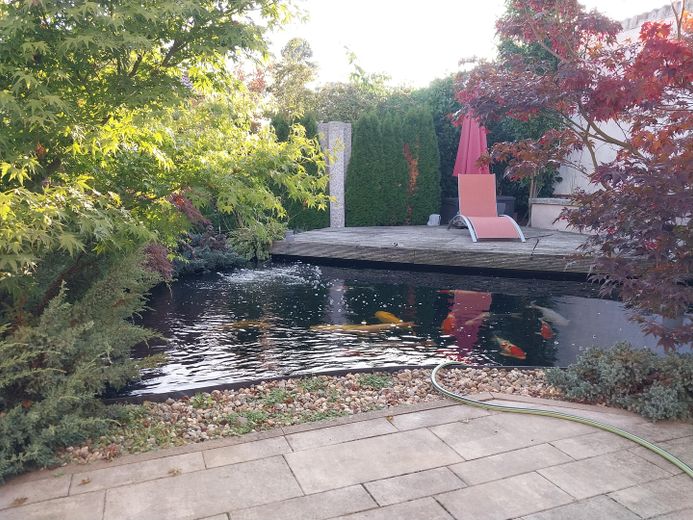 Blick von der Terasse