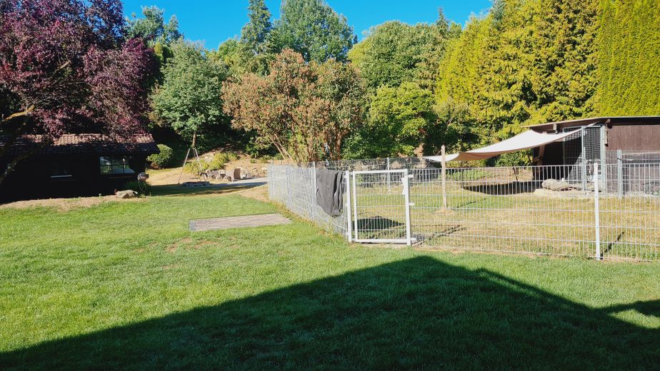 Provisionsfreies Einfamilienhaus in Wittislingen: 2.190m² Traumgrund, Außenpool, Whirlpool & Sauna – Blick von Terrasse