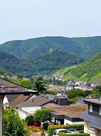Bild 15
