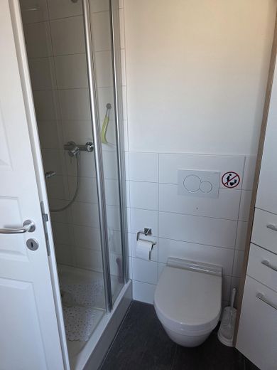 Traumhafte 3-Zimmer Dachgeschosswohnung im aufwendig sanierten Kulturdenkmal – Badezimmer