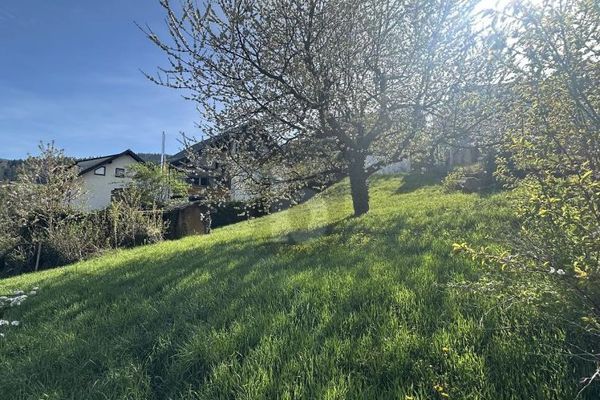 IDYLLE IN NATUR UND STADT