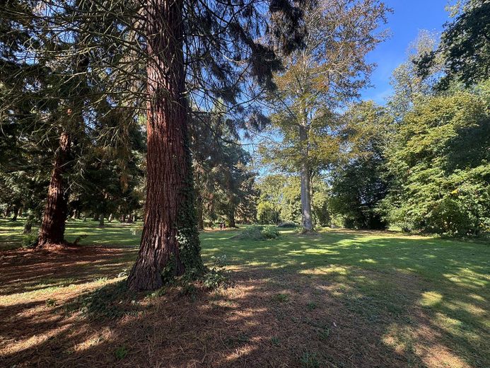 Schlosspark Paffendorf