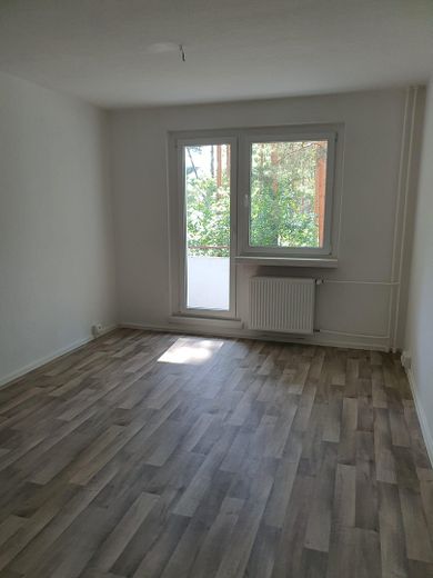 Erstbezug nach Sanierung! 3 Zi.Whg. mit Balkon in Walddrehna – Wohnzimmer mit Balkon