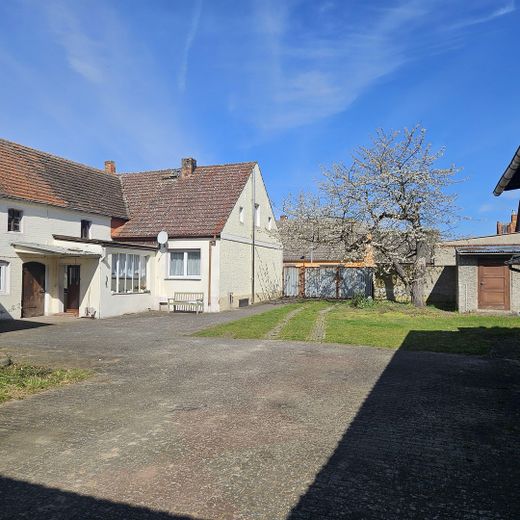 Hofanlage mit Wohnhaus, Scheune & ca. 5.000 m² Land – provisionsfrei – Hof mit Blütenbaum