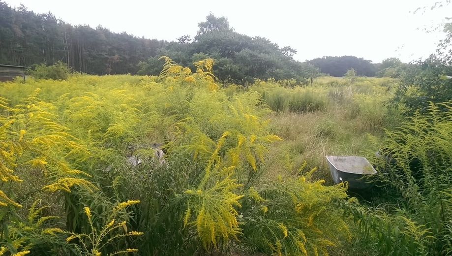 Groot bouwperceel zonder courtage, op loopafstand van het zwemmeer – WJ-00105_bild_002.jpeg