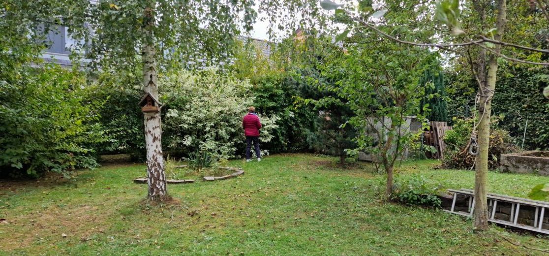 Bild4