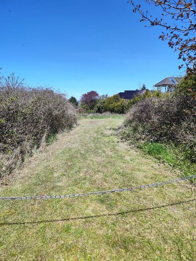 Leben am Meer - Großes Baugrundstück in Westerholz – Auffahrt