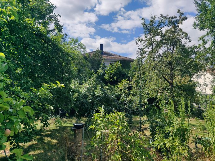 Bella casa con ampio giardino, con possibilità edificatorie per circa 847 mq di superficie abitabile lorda – Foto 13
