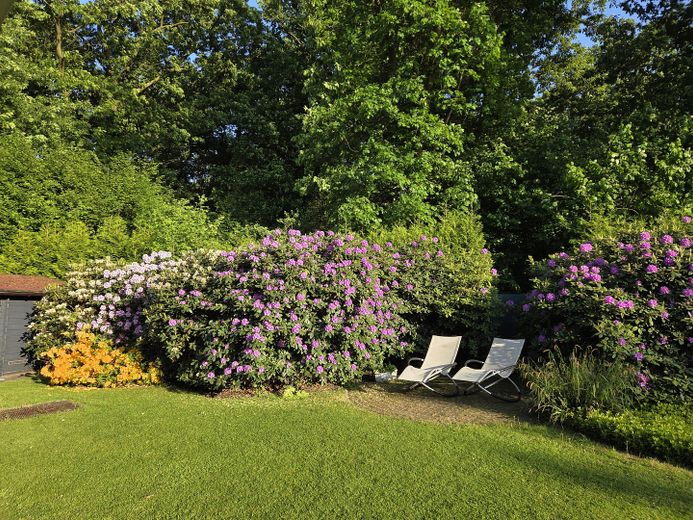 Ruheterrasse Rhododendren