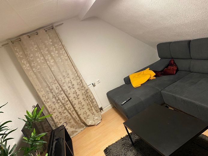Sauber renovierte Wohnung in Bietigheim-Bissingen – Foto 8