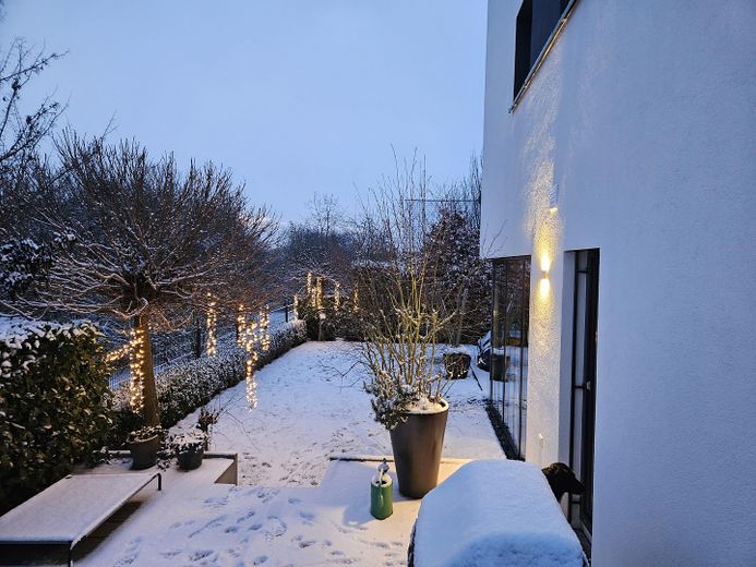 Garten im Winter